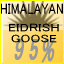 ヒマラヤンアイダリッシュグース95％
