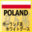 ポーランド産ハンドピックホワイトグース95%