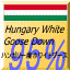 ハンガリー産ホワイトグース95％